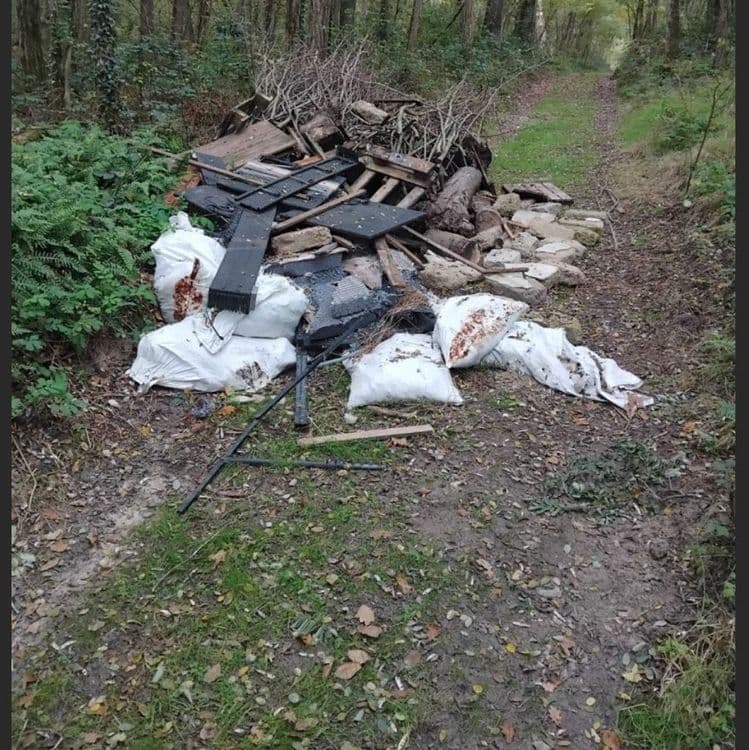 Dans un chemin entre Recloses et Villiers sous Grez sur la route de Recloses ?