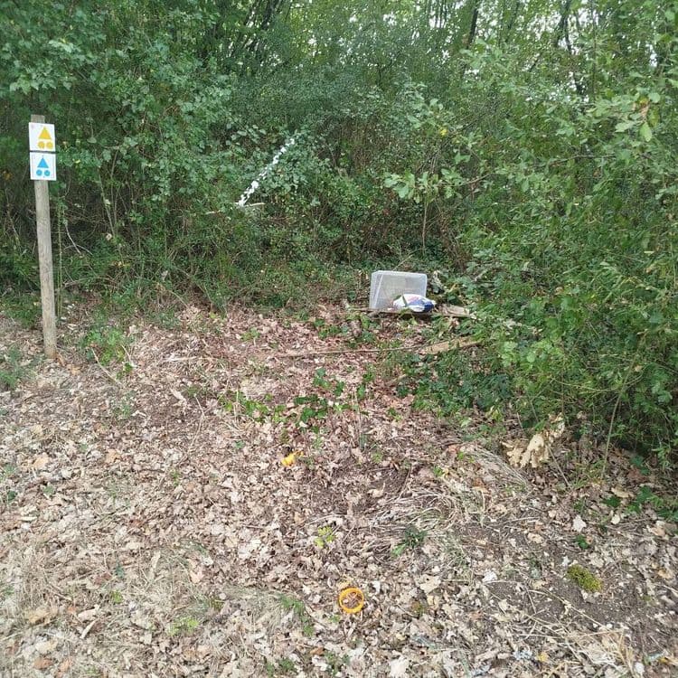 Planches de bois
Cartons d'emballage
Déchets divers