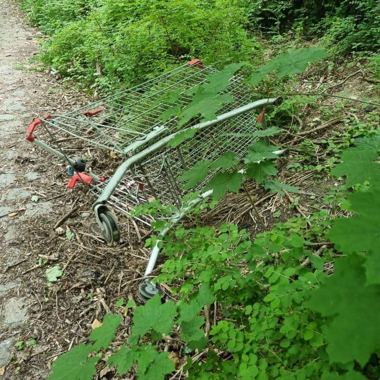 Chaque jour, un peu plus de caddies abandonnés cassés dans le parc (le forum vert de VdA)