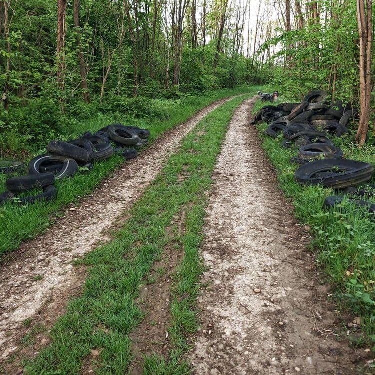 Dépôt de 40 ou 50 pneus usagés sur un chemin forestier 