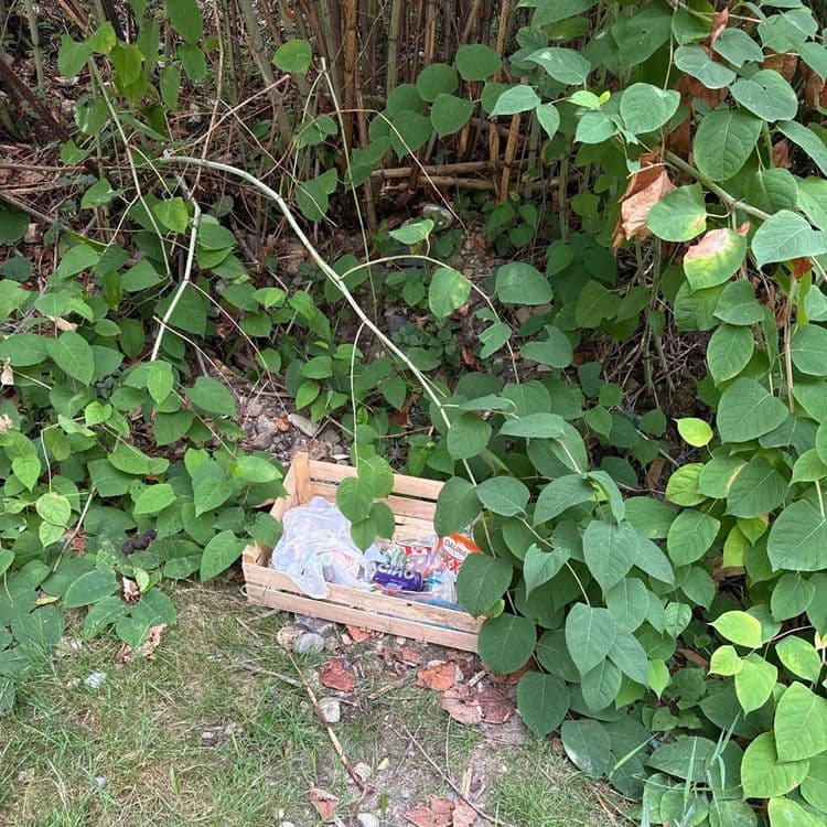 Déchets emballages divers plastique canettes 