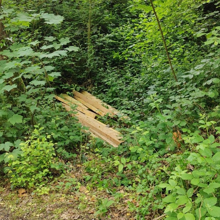 Les déchets présents sur l'image sont des planches de bois. On estime la quantité à environ 10 planches. Le poids total est estimé à environ 50 kilogrammes.
