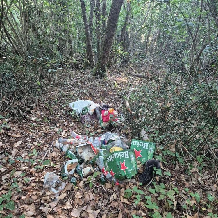 Voici le relevé des déchets abandonnés sur le site :

*   **Bouteilles en verre (bière, autres boissons):**
    *   Quantité estimée : Environ 35 à 40 bouteilles.
    *   Poids estimé : 9 à 10 kilogrammes.
*   **Bouteilles en plastique (eau, sodas):**
    *   Quantité estimée : Environ 10 à 15 bouteilles.
    *   Poids estimé : 0,5 kilogramme.
*   **Emballages en carton (packs de bière, autres):**
    *   Quantité estimée : Environ 3 à 4 grands emballages, plus quelques fragments.
    *   Poids estimé : 0,5 kilogramme.
*   **Sacs plastiques:**
    *   Quantité estimée : Environ 2 à 3 sacs.
    *   Poids estimé : 0,1 kilogramme.
*   **Déchets alimentaires et organiques divers:**
    *   Quantité estimée : Une petite quantité, probablement contenue dans les sacs.
    *   Poids estimé : 0,5 kilogramme.
*   **Canettes en aluminium:**
    *   Quantité estimée : Environ 5 à 10 canettes.
    *   Poids estimé : 0,1 kilogramme.
*   **Autres emballages plastiques et divers petits déchets:**
    *   Quantité estimée : Plusieurs petits éléments dispersés.
    *   Poids estimé : 0,2 kilogramme.