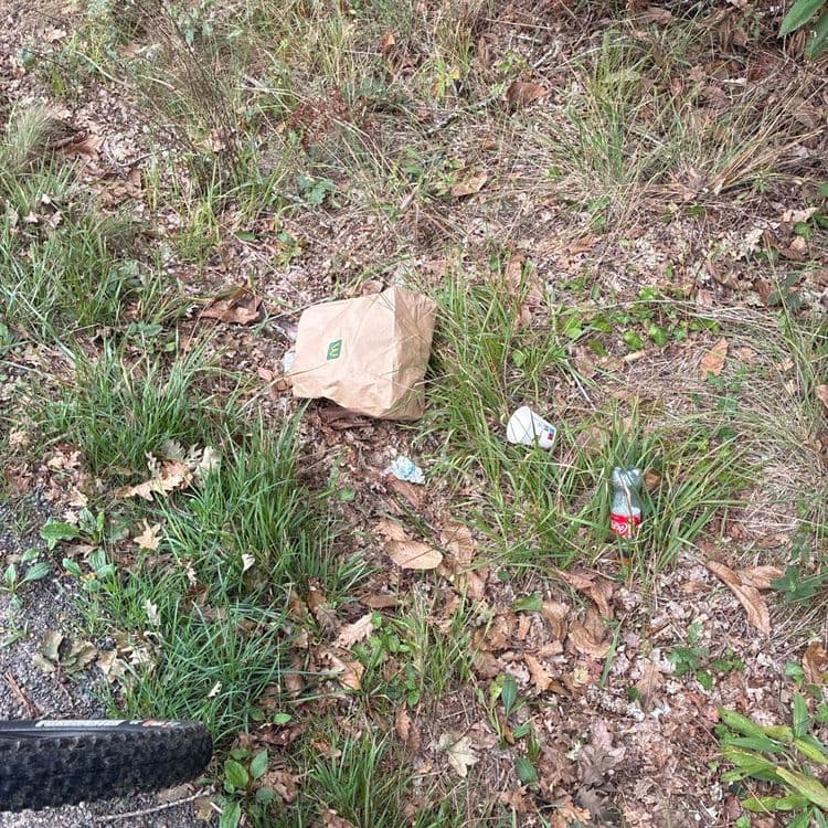 Déchets Fast food