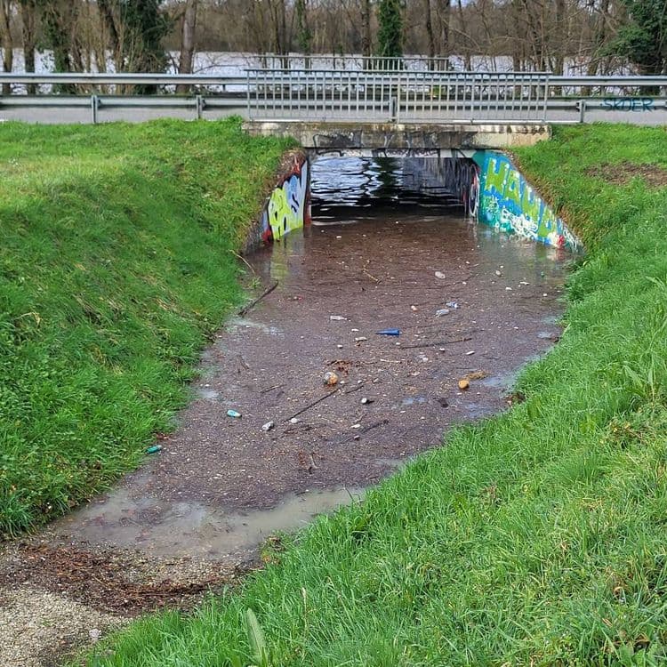 Eau stagnante avec des déchets divers (platiques, sac, etc)