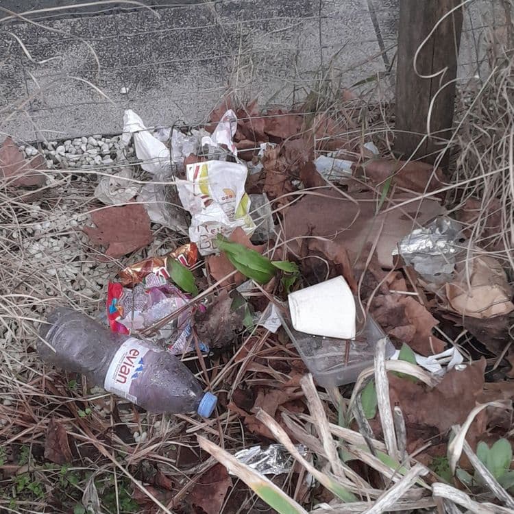 Plein de déchets plastiques 
