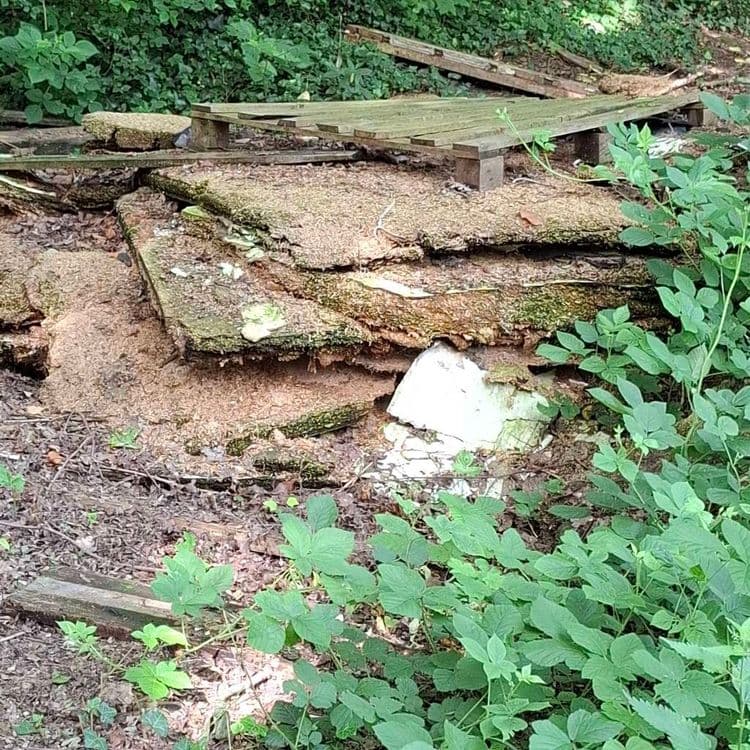 Plaques de bois et palettes en décomposition et ́nouveaux déchets ménagers a proximité 
