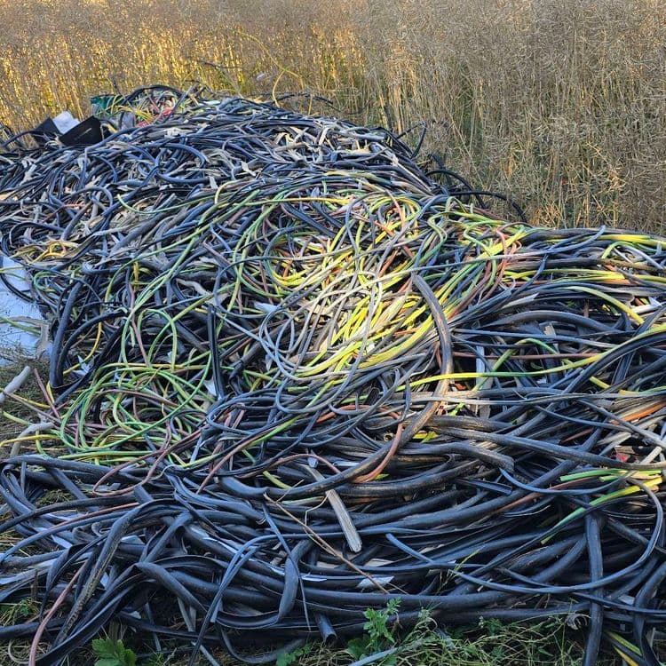 Dépôt sauvage en bordure de forêt