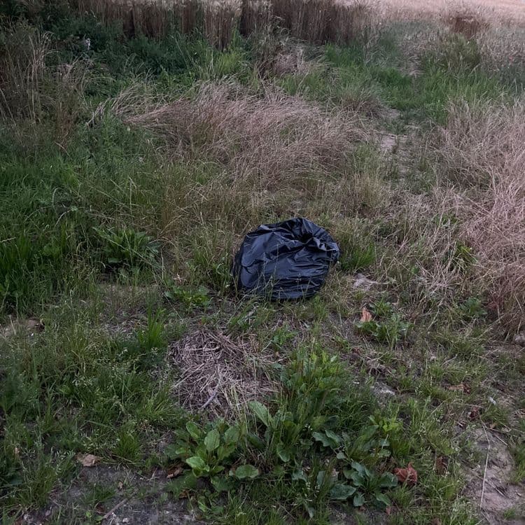 Sac poubelle
