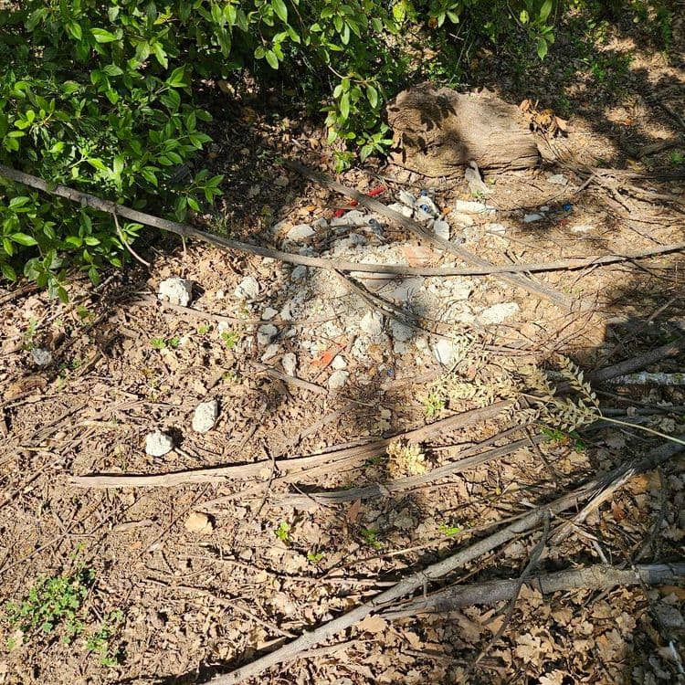 Gravats