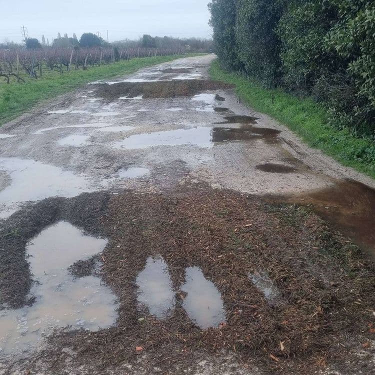 2ème déchargement de déchets verts dans le chemin de Pierre-Levée 