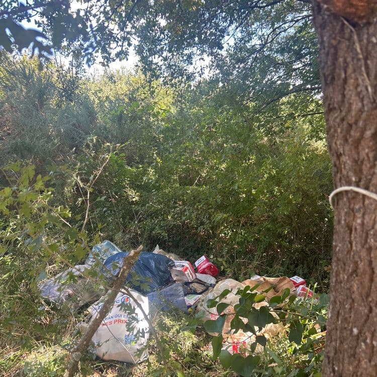 Voici l'analyse des déchets présents sur l'image :

*   **Sacs plastique de supermarché :** Plusieurs sacs en plastique, dont certains avec l'inscription "E.Leclerc", sont visibles. Estimation du poids total : 0,5 kg. Quantité : environ 4 sacs entiers et des fragments.

*   **Emballages alimentaires en carton et plastique :** Des emballages de salade "Fourme d'Ambert", des barquettes plastiques et des cartons divers. Estimation du poids total : 1,5 kg. Quantité : environ 5 emballages.

*   **Sacs poubelle :** Un sac poubelle noir semble contenir des déchets non identifiés. Estimation du poids total : 2 kg. Quantité : 1 sac.

*   **Paquets de cigarettes :** Plusieurs paquets de cigarettes de la marque "Elixyr", avec la mention "Fumer Tue". Estimation du poids total : 0,2 kg. Quantité : environ 4 paquets.

*   **Déchets divers non identifiés :** Présence d'autres déchets, probablement des emballages plastiques et papiers non identifiables, mélangés à la végétation. Estimation du poids total : 1 kg.

Le poids total estimé des déchets est d'environ 5,2 kg.

Je pense que c’est au moins 10 kg d’ordures pas cinq 