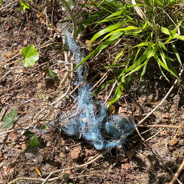 Sur l'image, on observe des déchets de type textile, plus précisément une masse de ficelle ou de cordelette de couleur bleue. La quantité visible suggère un poids estimé à environ 0.1 kilogramme. Il semble s'agir d'un seul et même amas de débris textiles.

