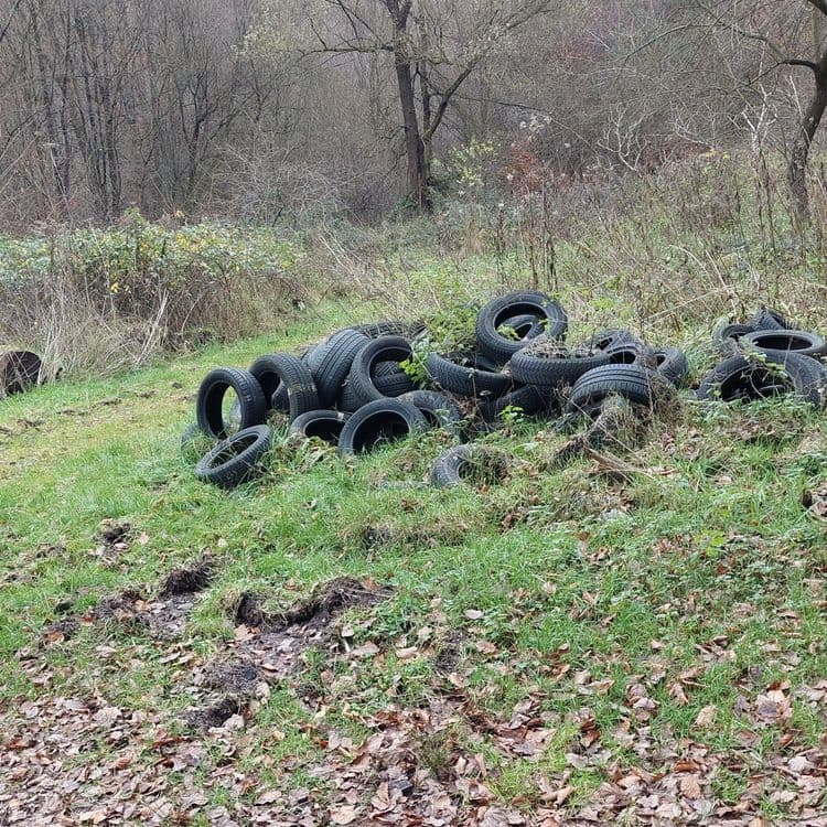 Pneus abandonné dans la forêt 