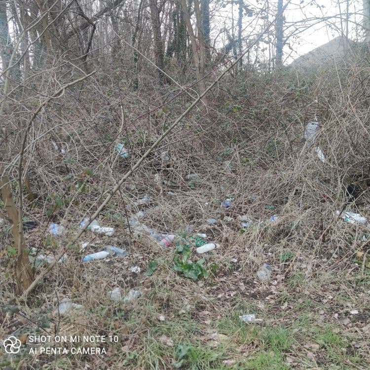 Déchets de tout genre