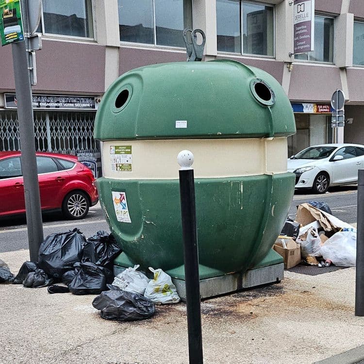 Déchets poubelles éventrées, cartons, polystyrène 