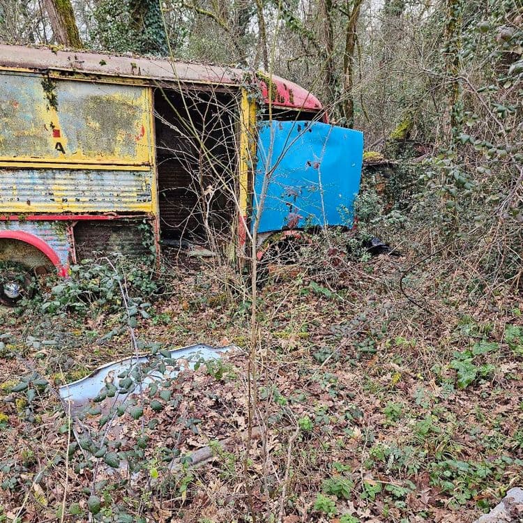 Vieux véhicule et autres déchets ( bidons...)