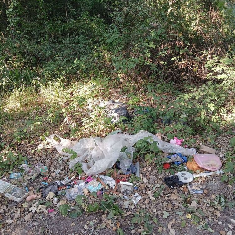 Dépôt sauvage bois constaté à l'instant lors d'une balade en vélo 