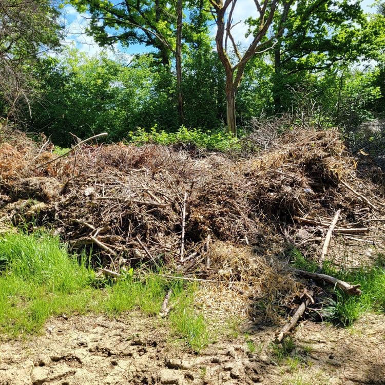 Décharge sauvage de 10m sur 10m