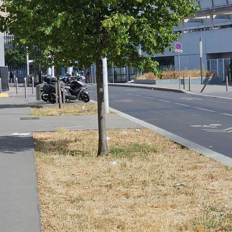 Déchets en bord de route