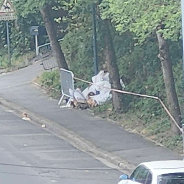Dépôt sauvage en face du 2 rue du Pavé  des Gardes 92370 Chaville 