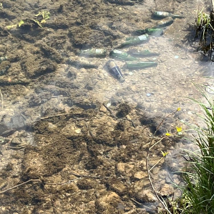 Des cannettes de bière par dizaine, en verre, sont visibles au fond de la Saône
