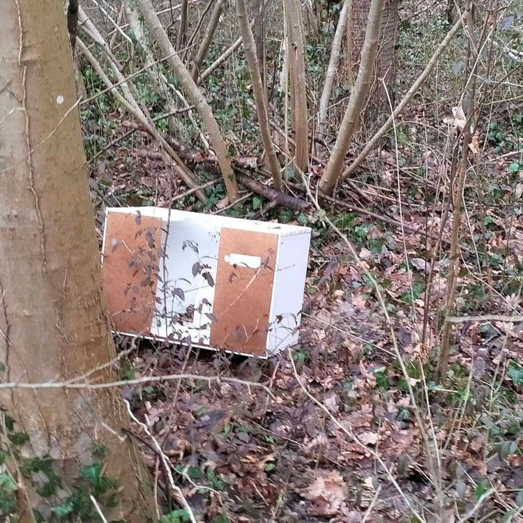 Déchets divers et mobilier abandonnés en forêt à proximité d'un parking public 