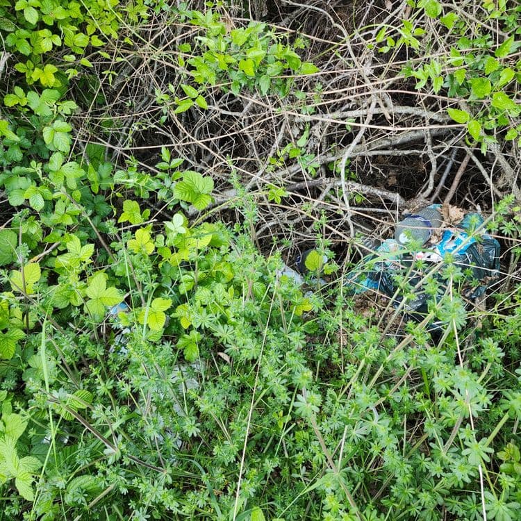 Décharge sauvage le long d'un chemin de terre agricole