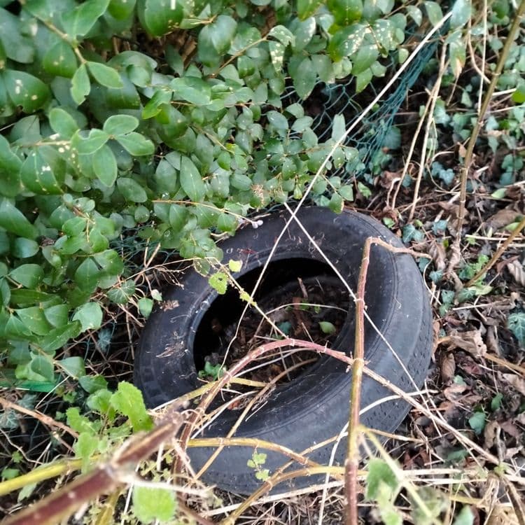Pneus usagés abandonnés au bord de la route 