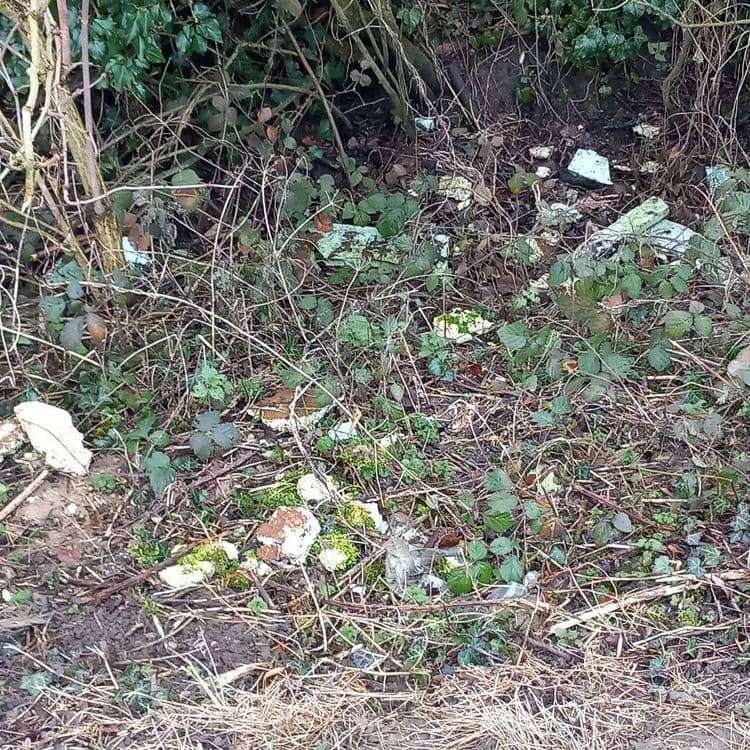 Voici une estimation des déchets présents sur la photo :

*   **Polystyrène expansé (PSE)** : Présence de plusieurs morceaux éparpillés. Estimation de la quantité : environ 5-7 morceaux visibles. Poids total estimé : environ 0.1 kg.

*   **Débris de construction/démolition** : On observe des fragments de briques, de plâtre ou de béton, possiblement recouverts de mousse. Estimation de la quantité : 3-4 fragments. Poids total estimé : environ 1 kg.

*   **Déchets plastiques** : Présence de petits morceaux de plastique, potentiellement des emballages ou des fragments divers. Estimation de la quantité : Difficile à évaluer précisément, mais au moins 2-3 petits éléments visibles. Poids total estimé : environ 0.05 kg.

*   **Déchets divers** : Il y a des petits déchets qui sont difficiles à identifier. Estimation de la quantité : 1-2. Poids total estimé : environ 0.1 kg.