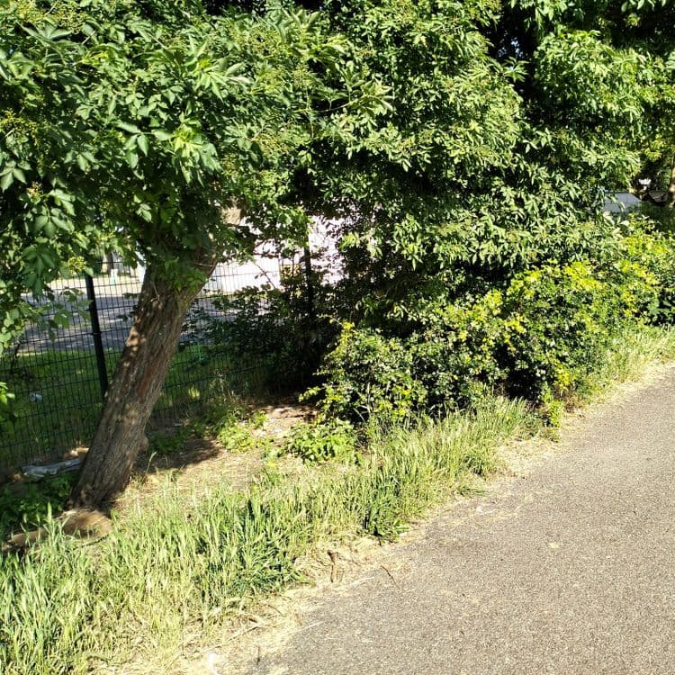 Déchets divers au bord de la piste cyclable 