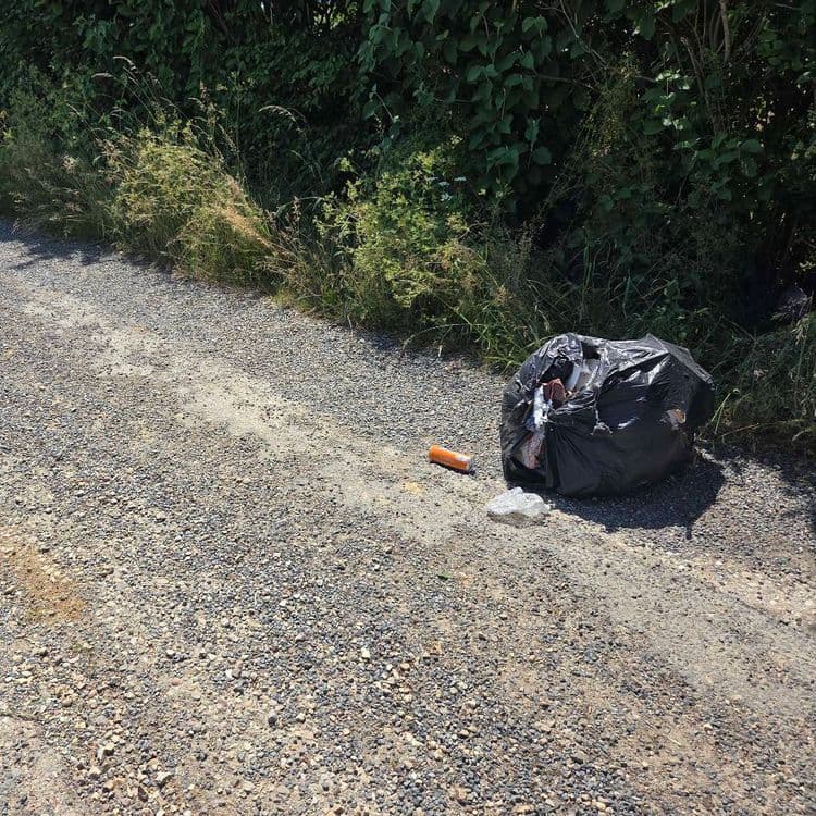 Poubelles jetées et sacs avec planches 