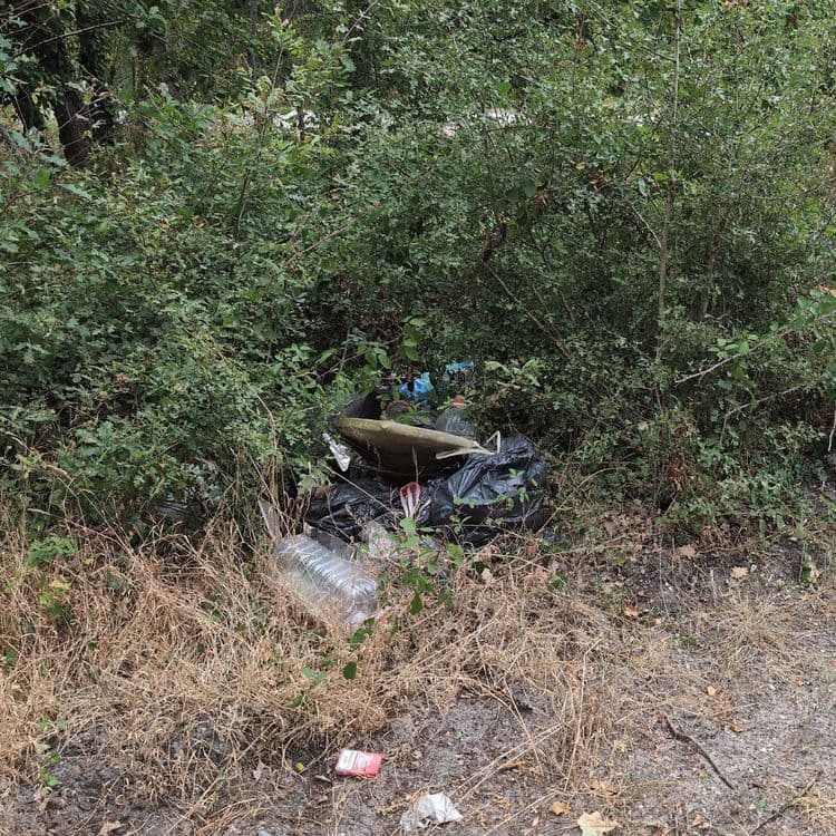Dépôt de 6 sacs de déchets ménagers, pour un volume d'une grosse brouette. Grande route à 20 m.