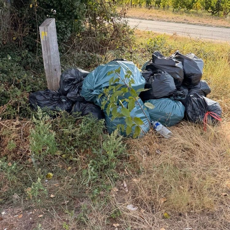Les déchets abandonnés sont les suivants :

*   **Sacs poubelles noirs** :
    *   Quantité estimée : 12 sacs
*   **Sacs poubelles verts** :
    *   Quantité estimée : 3 sacs
*   **Bouteille en plastique** :
    *   Quantité estimée : 1 bouteille