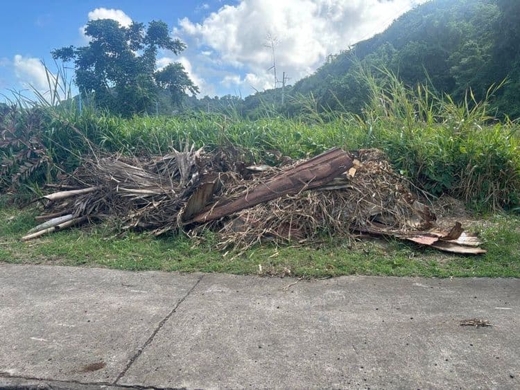 Voici une estimation des déchets présents sur la photo, ainsi que leur poids estimé :

*   **Déchets végétaux (palmes séchées, branches, herbes coupées) :** Environ 25 kg. Principalement constitués de matière organique sèche, les palmes et branches représentent le volume le plus important.
*   **Débris de bois (morceaux de planche) :** Environ 5 kg. Fragments de bois potentiellement issus de construction ou d'aménagement extérieur.
*   **Débris de végétaux indéterminés** : Environ 2 kg.

metal