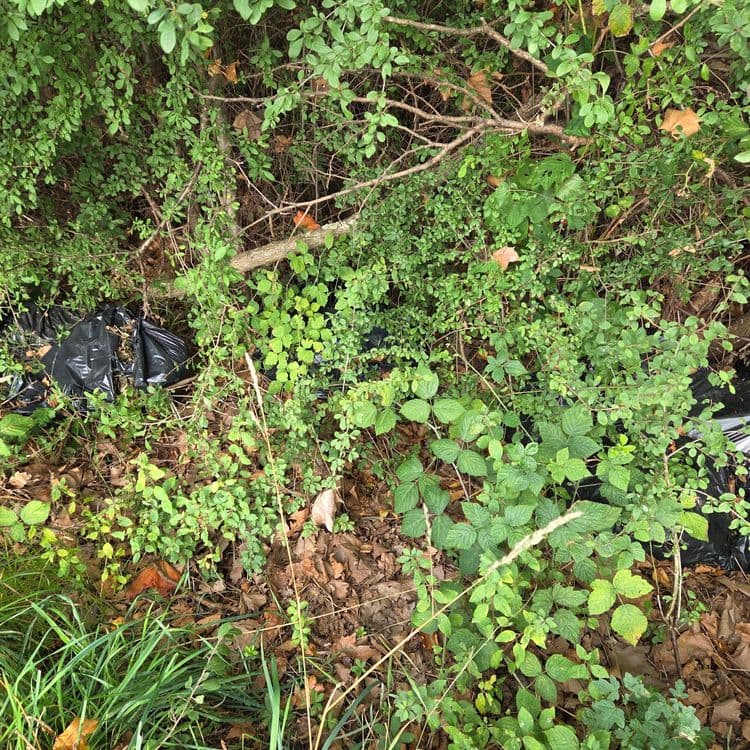 Compté une douzaine de sacs poubelles jetés le long du chemin