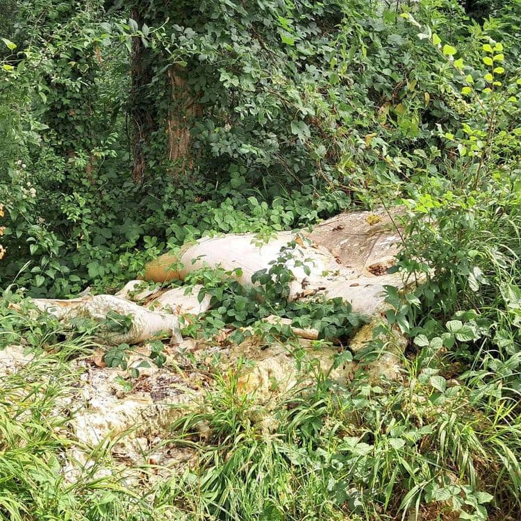 Un tas de laine de verre est déposé sur le côté du chemin des Eaux Claires.