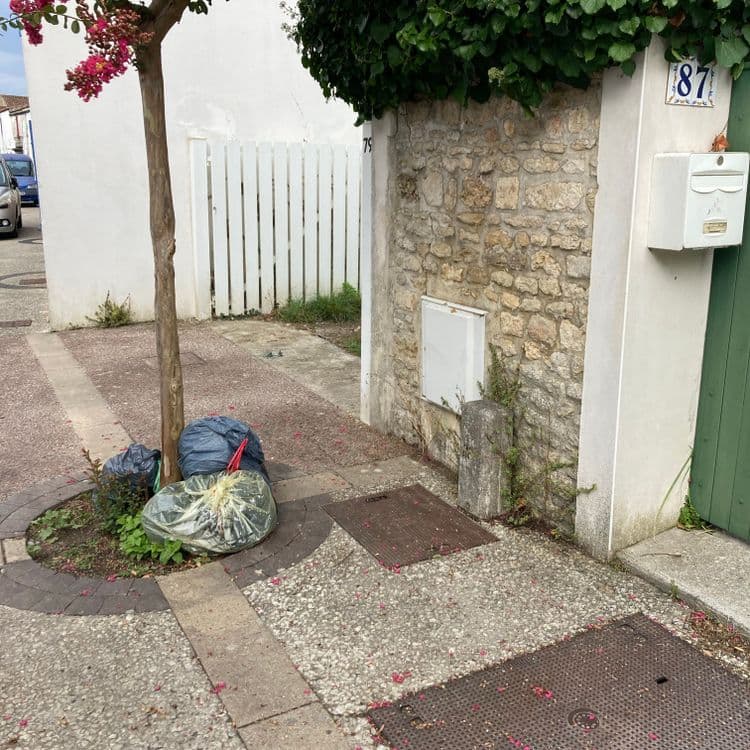 3 ou 4 Sacs poubelle au pied d’un arbre entre les numéros 79 et 87 de la rue Saint Jean à Chéray 17190 