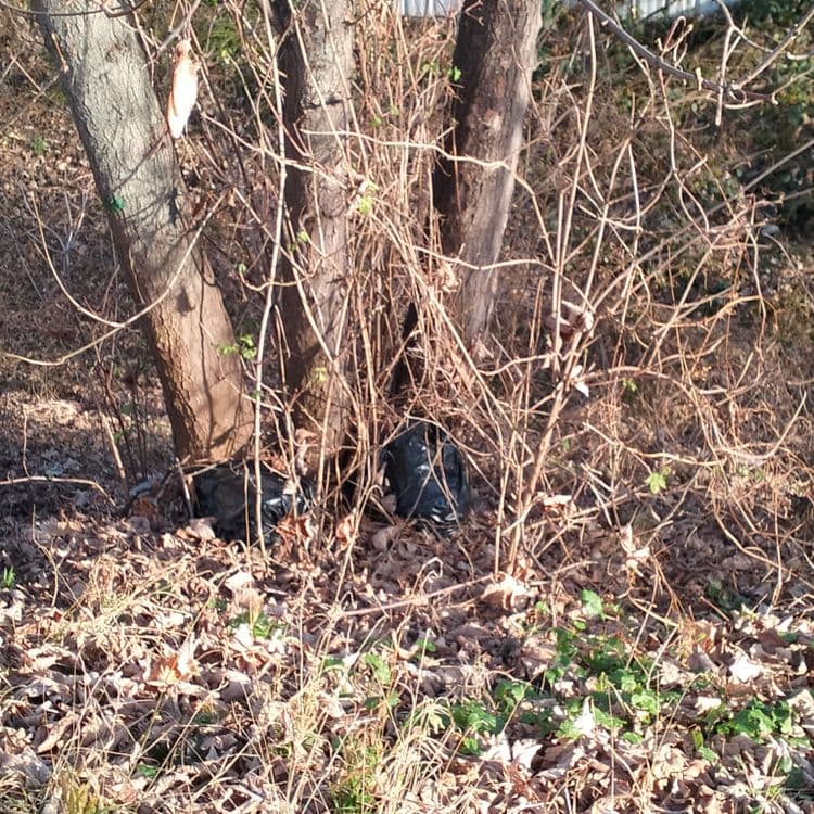 Sacs poubelles abandonnés en bas de talus en zone industrielle 