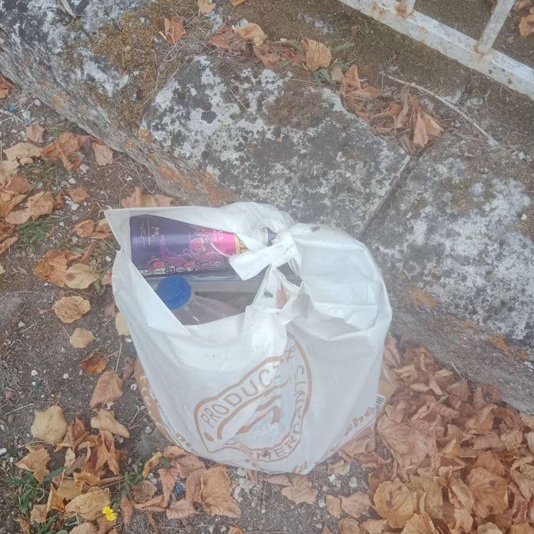 Poubelle apparue le dimanche soir (c'est étonnant de régularité) avec les mêmes trucs dégueulasses, des canettes des déchets alimentaires, on ne sent pas mais ça pue et on 'ne voit pas mais ça déborde de mouches bleues.