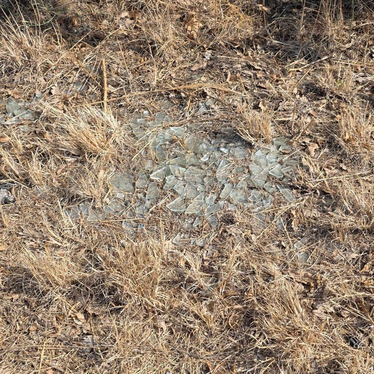 Les déchets abandonnés sont les suivants :

*   **Verre brisé** :
    *   Quantité estimée : Un amas compact de nombreux fragments, correspondant à l'équivalent d'un ou deux objets en verre (par exemple, une vitre ou plusieurs bouteilles).
    *   Poids estimé : Entre 1,5 et 2,5 kilogrammes.