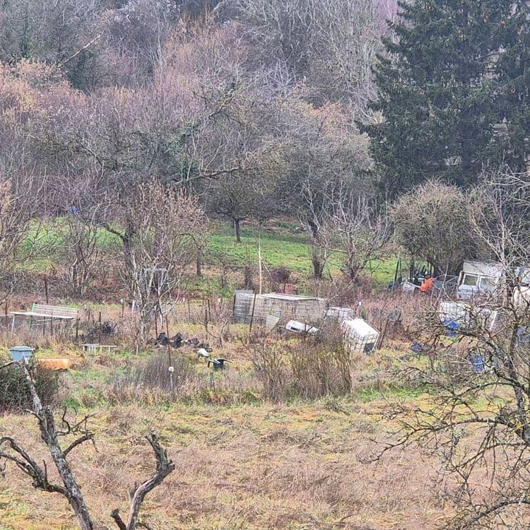 Il faudrait un camion pour tout ôter , je me suis battu en mairie qui dit avoir investi 25000 euros pour nettoyer , c est un terrain qui appartient a Mr Motta qui ne s'en occupe plus et qui stock toutes ces cochonneries . Le massage commun et géré par christiane kontzler , une voisine devenue amie par la force des choses . Je ne sais plus quoi faire et je n ai pas envie d'aller en justice seul pour faire vide ce dépotoire , je ne m'y connais pas assez et voudrais bien faire autrement . Il ya des cuves percées , des pneus , portes de garage et autres déchets... Merci a vous de m'aide si vous pouvez 🙏🙏🙏