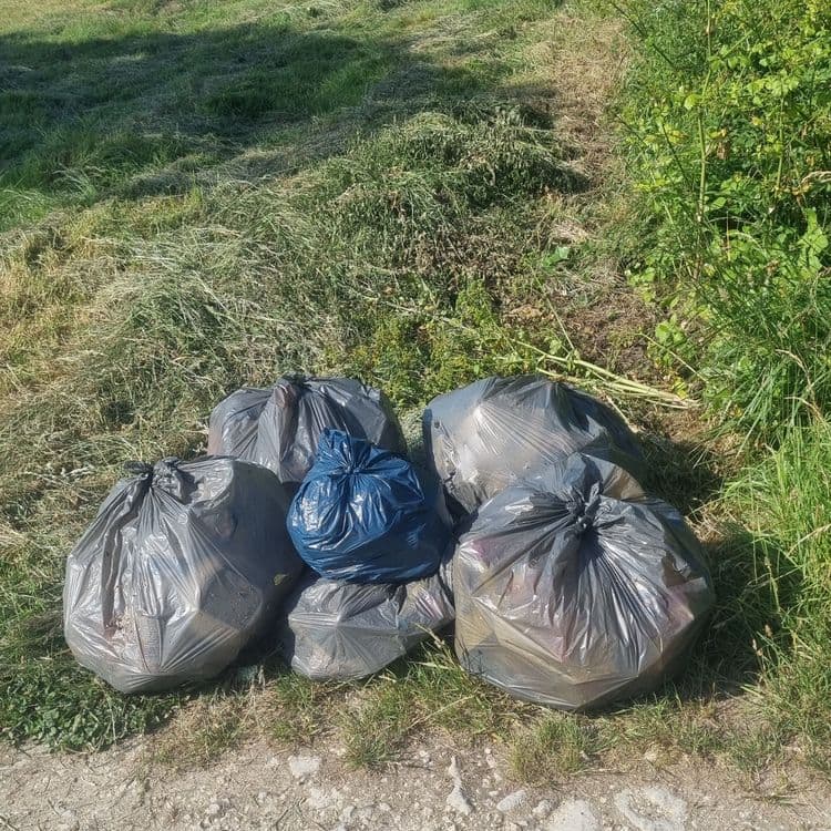6 sacs poubelles en bordure du chemin de l'Aubier... 
1 par jour dans ce chemin !!! 