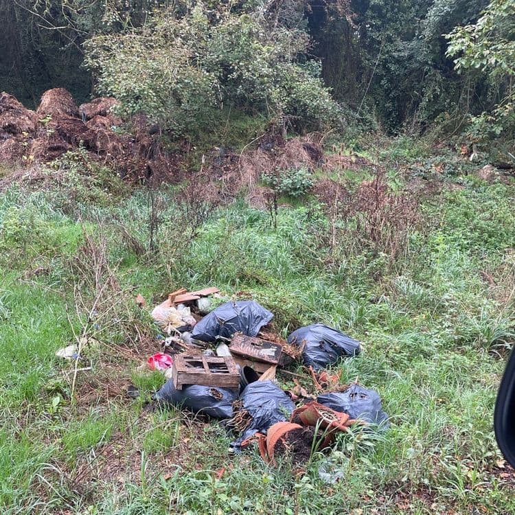 Les déchets abandonnés sur le site comprennent :

*   **Sacs poubelles noirs :** Environ 7 sacs, pour un poids estimé de 50 kilogrammes. Ces sacs contiennent des déchets ménagers divers.
*   **Caisses en bois :** 2 caisses complètes et plusieurs fragments de bois, représentant un poids estimé de 10 kilogrammes.
*   **Pots de fleurs en terre cuite cassés :** L'équivalent de 4 pots, avec un poids estimé de 8 kilogrammes.
*   **Déchets ménagers en vrac :** Un amas de déchets non ensachés, estimé à 7 kilogrammes.
*   **Planches de bois :** Quelques planches et morceaux de bois, pour un poids estimé de 5 kilogrammes.