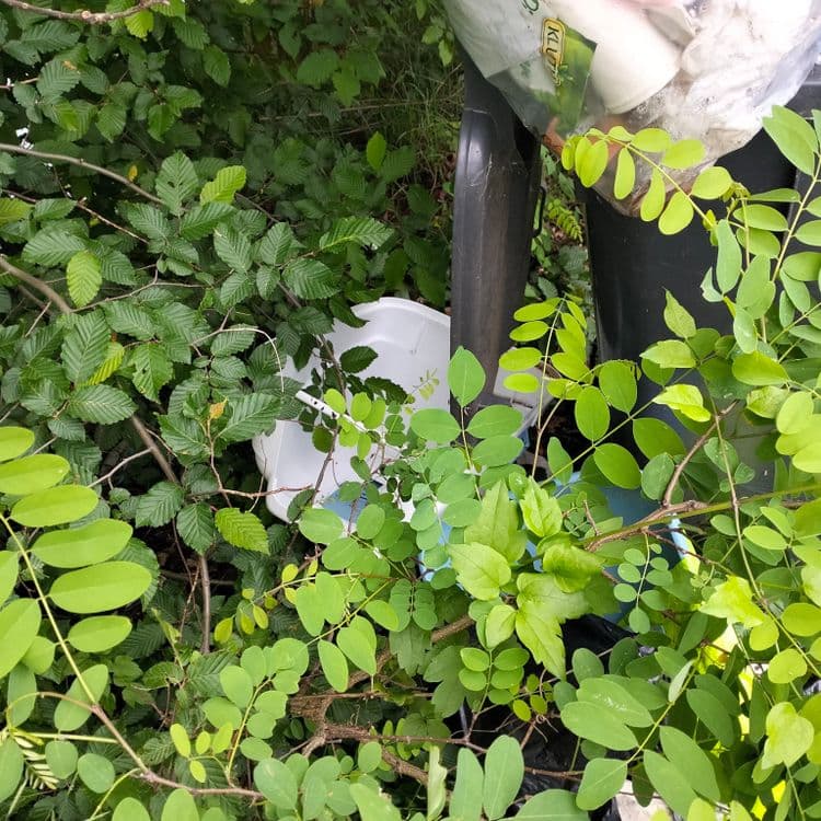 Amas de déchets à côté d'une poubelle au bord de la route, bidon d'huile usagée, etc