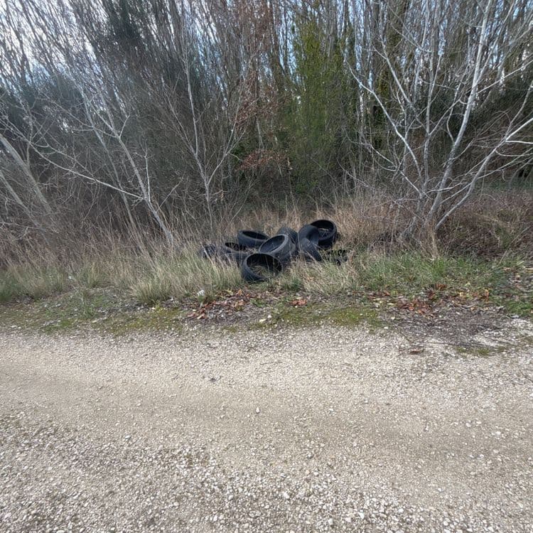 Déchets identifiés sur la photo :

Le principal déchet visible est un amas de pneus usagés.  L'estimation du nombre de pneus est d'environ 8 à 10 unités.  Compte tenu du fait qu'un pneu de voiture pèse en moyenne entre 10 et 20 kg, le poids total des pneus pourrait se situer entre 80 et 200 kg.

Il y a également des débris végétaux, principalement des feuilles et de petites branches mortes.  Le poids de ces débris est difficile à estimer précisément à partir de l'image, mais il devrait être inférieur à 10 kg.

