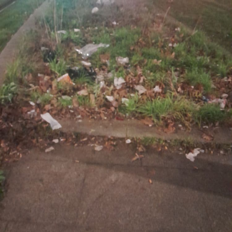 Plein de déchets plastiques 