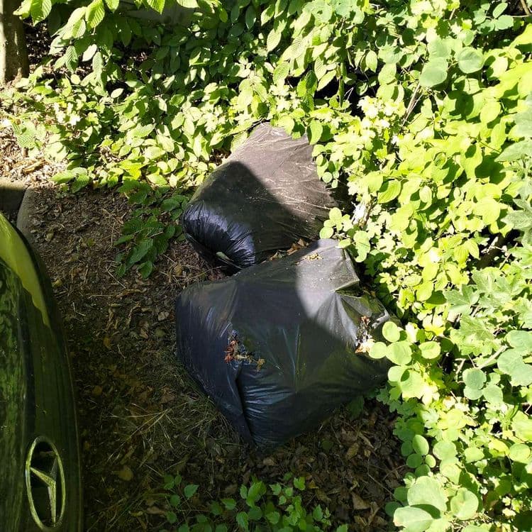 Deux sacs poubelles abandonnés au bord d'un parking public 