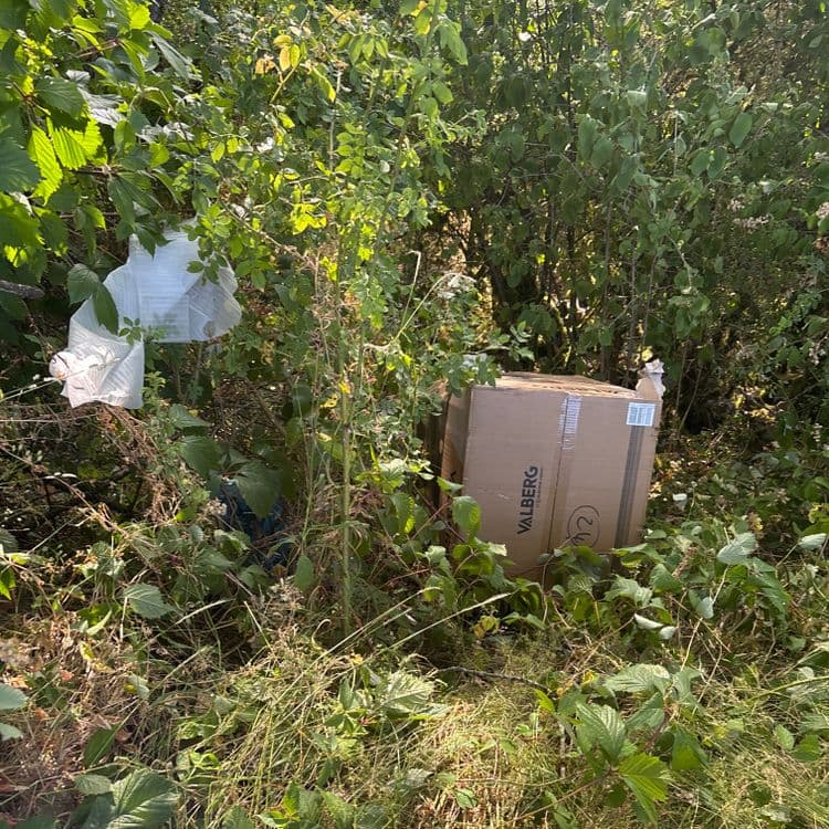 Voici l'analyse des déchets présents sur l'image :

*   Un carton de marque VALBERG, estimation de poids : 2kg, quantité : 1
*   Des sacs plastiques, estimation de poids total : 0.1kg, quantité : 2
