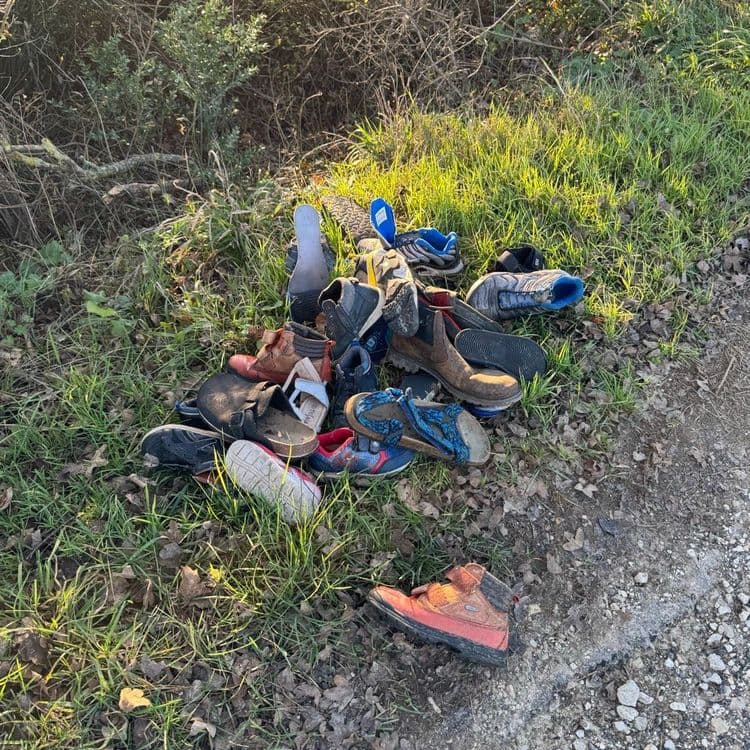Voici une analyse des déchets présents sur l'image :

Le type de déchets prédominant est constitué de chaussures usagées de différents types : baskets, bottes, sandales, chaussures d'enfant, etc. La quantité totale est estimée à environ 20-25 paires. Le poids total de ces chaussures est estimé entre 10 et 15 kg.

On remarque également la présence de quelques déchets végétaux (feuilles mortes, herbe coupée) mélangés aux chaussures. Le poids de ces déchets végétaux est estimé à moins de 1 kg.

Enfin, on peut observer la présence d'un petit élément bleu qui semble être un débris de plastique. Le poids de ce déchet est négligeable, probablement quelques grammes.

